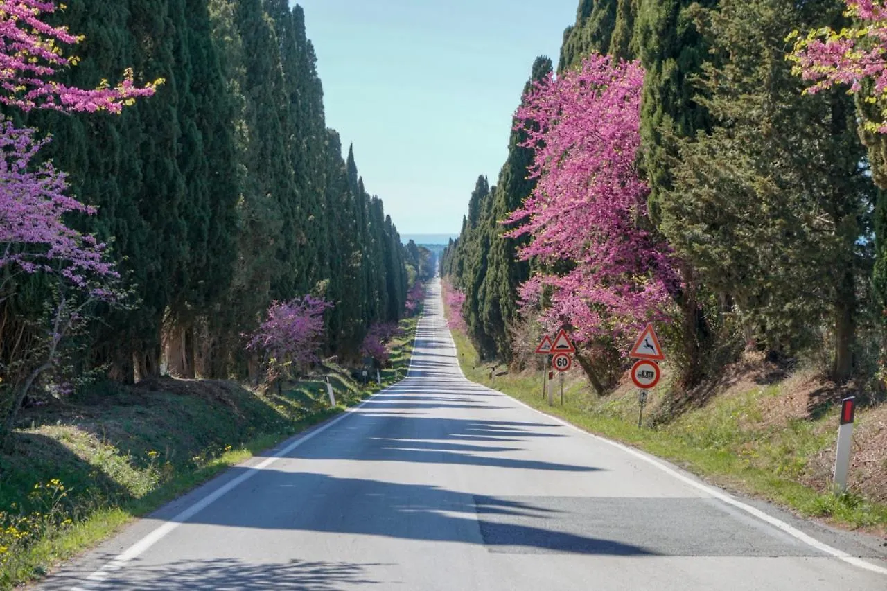 Appartamento Alcalù San Vincenzo